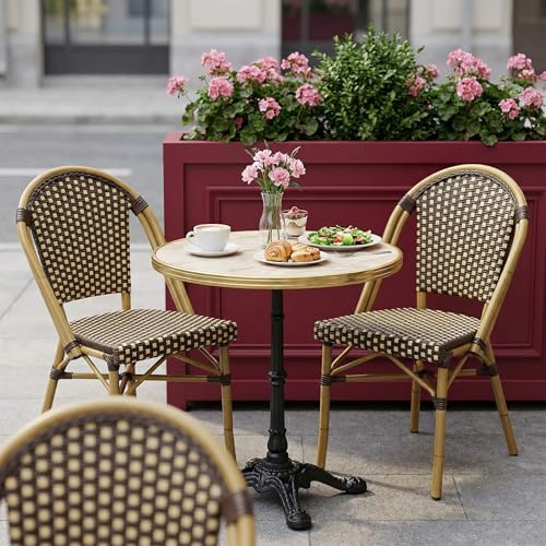 PURPLE LEAF Bistro Chair (Set of 2) French Hand-Woven Wicker Chairs for Outdoor Patio Porch Garden Indoor, Bamboo Print Finish, Coffee, Dining Chairs