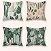 Fodere per Cuscini 45X45cm Set da 4,Salvia Verde Federe Cuscini Divano con Stampa Fronte-Retro,Quadrate Super Morbido Velluto Cuscino Divano,Decorativi Copricuscini Divano per la Casa