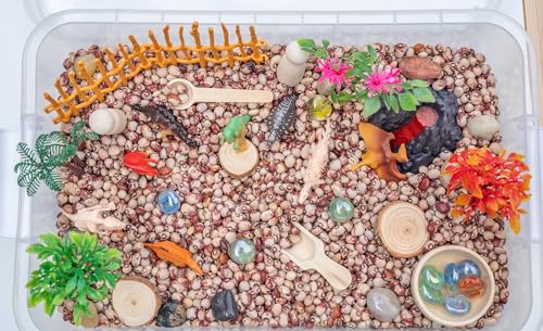 Dinosaur Sensory Bin Kit for Kids Taste-Safe Pinto Beans Fossil Skeletons Trees Volcano & Durable Wooden Tools Includes Storage Bin