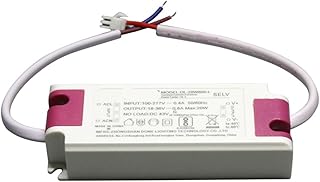 HEPBAK Power led Flicker-Free Driver 7W12W20W30W50W Indoor Ceiling lamp Ballast (Color : DL 12W600 L Output 11 22V0.6A)