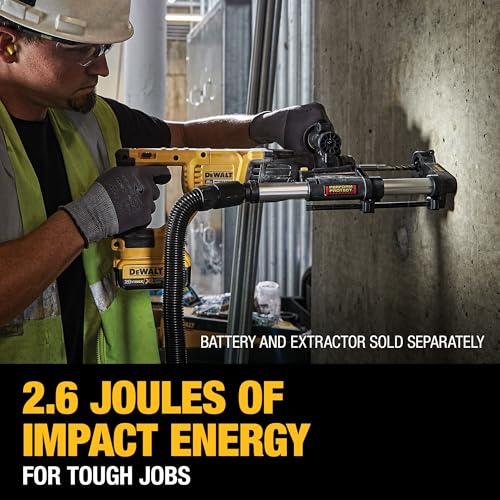 DEWALT 20V MAX 1