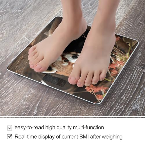 Báscula digital inteligente para baño con pantalla grande miniatura 5