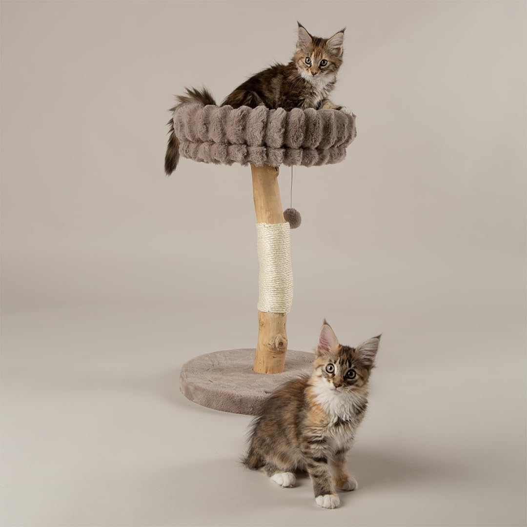 Scruffs - Cat Tree - Small - Wood/Sisal/Faux Fur