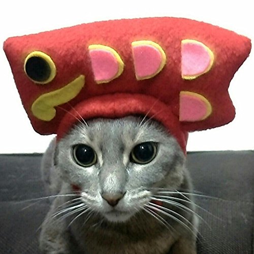 【鯉のぼり帽子】グラデーション Sサイズ わんちゃん用 Amazon | 犬猫用コスプレ 鯉のぼり（赤）のかぶりもの（帽子） (M：27
