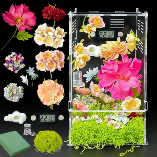 Image of Jumping Spider Enclosure,DIY Insects Habitat,Small Reptile Terrarium Glass House Accessories Set,with Temperature and Humidity Detector Water Feeder Platform Hide,5.5 inchx5.5 inchx9.5 inch (Garden)