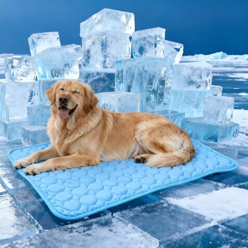 dog beds cooling