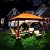 OUTDOOR LIVING SUNTIME Pop Up Gazebo Polyester Canopy Tent