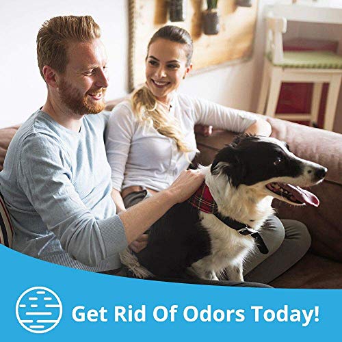 Camisin 5 Pack Natuurlijke Bamboe Houtskool Luchtzuiverende Zak Natuur Verse Luchtreiniger Zakken Geactiveerde Houtskool - Image 5