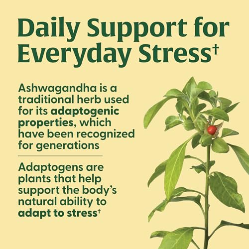 megafood thyroid strength - mineral supplement- thyroid support for women with ashwagandha zinc selenium copper iodine amp l-tyrosine - 90 tabs 45 servings