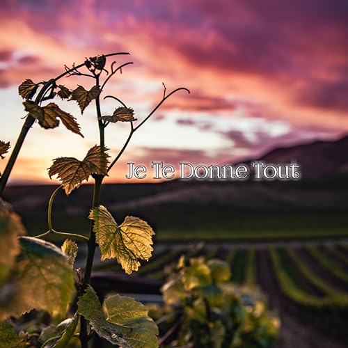 Je Te Donne Tout