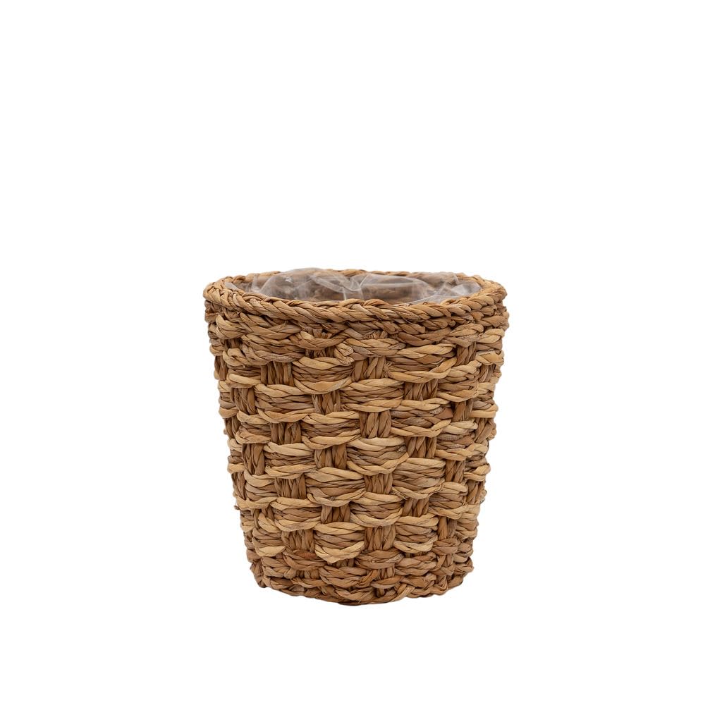 Arthur Cameron - Feni Handwoven Seagrass Planter – Decorative Plant Basket with Liner, Natural Indoor Plant Pot for Houseplants, Succulents & Home Décor (Small)