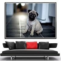 Amazon | パグかわいいペットの犬動物﹣DIY 5Dダイヤモンド