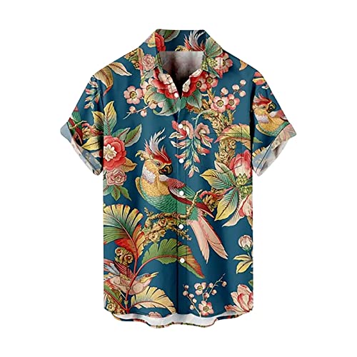 [KELIHAWK] �A���n�V���c �����Y ���� �傫���T�C�Y �r�[�`�V���c �{�^���A�b�v ���� �J�W���A�� �J�݃V���c �v�����g ������� �r�[�`�E�F�A �I�[�o�[�T�C�Y ������� �g�b�v�X �z������ �ʋC �䟭�� �ėp �E�F�A ���]�[�g�i�u���[/XL�j