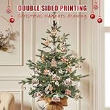 Zoom IMG-2 jamssow 20 decorazioni natalizie per Zoom IMG-2 jamssow 20 decorazioni natalizie per