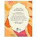 Harney & Sons Fresh Brew Peach Iced Tea, 3 count box, Makes 6 Quarts of Iced Tea