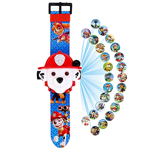 efW^vԊJCeWFXwAjtBMApatrulla caninaq̃Mtg (11)