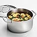 Tramontina Signature Tri-Ply Clad Stainless Steel 6-Quart Sauce Pot with Lid, Induction-Ready Pot, Dishwasher-Safe, NSF-Certified, Made in Brazil