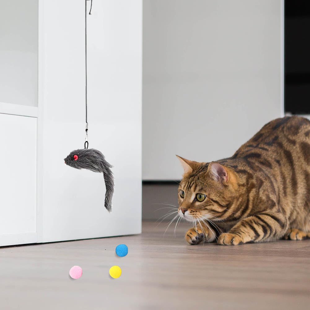 Interaktives Katzenspielzeug Fr Trrahmen,Trrahmen Katzenspielzeug,2  Stck Katzenspielzeug Maus,Katzenspielzeug Selbstbeschftigung,Maus  Katzenspielzeug,Katzenspielzeug Muse,Katzen Maus,Toy Mouse : Amazon.de:  Haustier