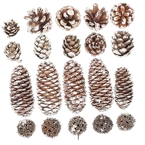 Set de 5 conos de pino secos decorativos para Navidad miniatura 5