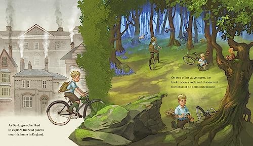 Wild Places: The Life of Naturalist David Attenborough - Image 2