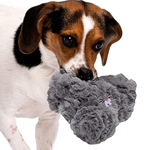 goDog-PlayClean-Rabbit-Squeaky-Plush-Dog-Toy-with-Odor-Eliminating-Essential-Oils-Chew-Guard-Technology-Gray-Small - Cucciolini Doodles goDog-PlayClean-Rabbit-Squeaky-Plush-Dog-Toy-with-Odor-Eliminating-Essential-Oils-Chew-Guard-Technology-Gray-Small