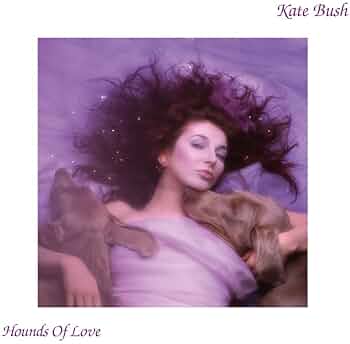 ケイト・ブッシュ　魔物語　Kate Bush　Never Forever　LP Amazon.co.jp: Never Forever: ミュージック