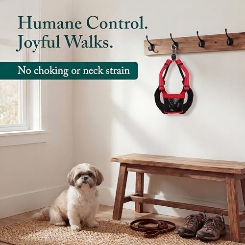 Image of Sporn No Pull Dog Harness, Durable Nylon Mesh Harness for Small Dogs, No Choke Design, Padded Restraint Sleeves, Adjustable Fit, Easy On /Off, Ideal for Small Breeds, Red