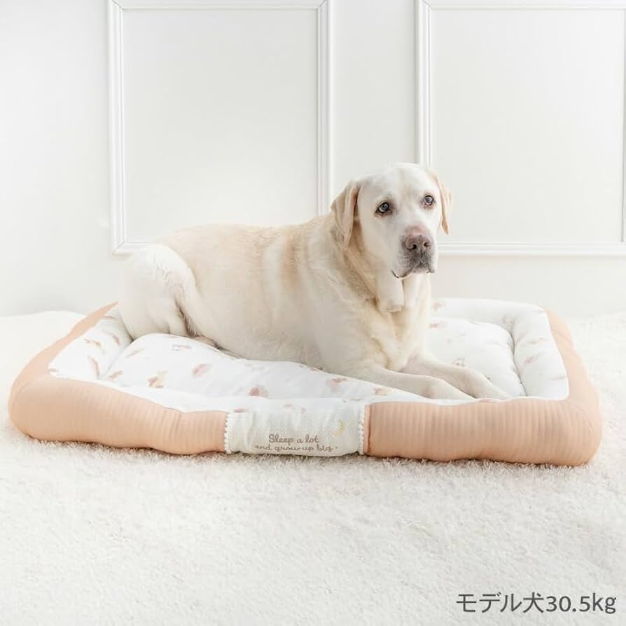 Amazon | ペットパラダイス 犬 ベッド 寝具 クッション おやすみくま