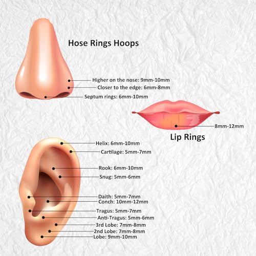 6/12Pcs 16G 18G 20G Nose Rings Hoops 316L Surgical Steel Nose Septum Lip Rings Tragus Cartilage Daith Rook Piercing Jewelry for Women 6mm 7mm 8mm 9mm 10mm 12mm3