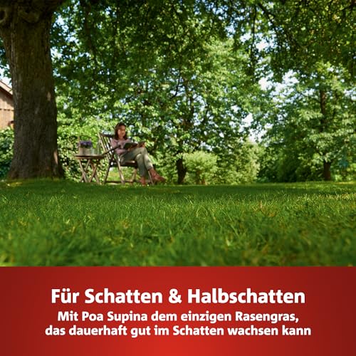 Foto von WOLF-Garten Turbo-Nachsaat „SCHATTEN“ zur Rasensanierung LR-S 25 (für 25 m², hohe Dichte mit ca. 100.000 Trieben/m², speziell auf schattige Lagen, mit WOLF-Garten Keimgarantie, im 500g Karton) 3826625