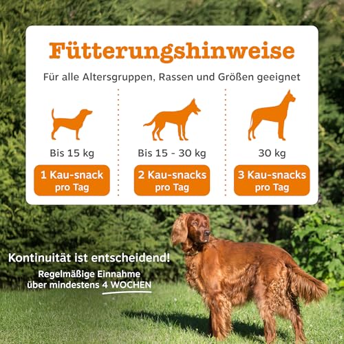 Zesty Paws Juckreizlinderung für Hunde | Empfindliche Haut | Hypoallergene Allergielinderung | Anti-Juckreiz & Allergielinderung | Für Hunde, die kratzen, jucken & lecken | Omega-3-Fettsäuren | 90 Stk