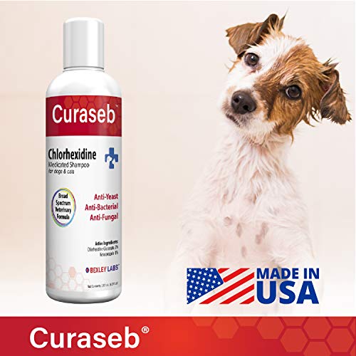 dog shampoo for yeast infection