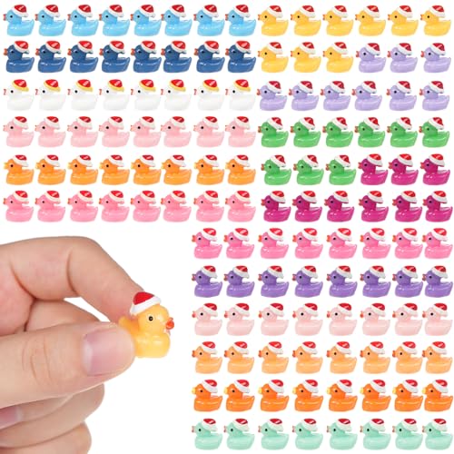 TQIOQIY 160 PCS Mini Ducks Wearing Santa Hats 16 Colours Resin Tiny Christmas Duck Figures for Festive Dollhouse & Fairy Garden Decorations Christmas Party Favours & School Prizes