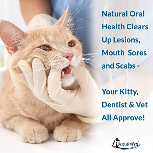 Oral Health for Cats Dental Treatment - Natural Stomatitis and Gingivitis Solution is Highly Effective for Feline Mouth Issues Including Tartar and Inflammed Gums - Easy to Use (450 pills)