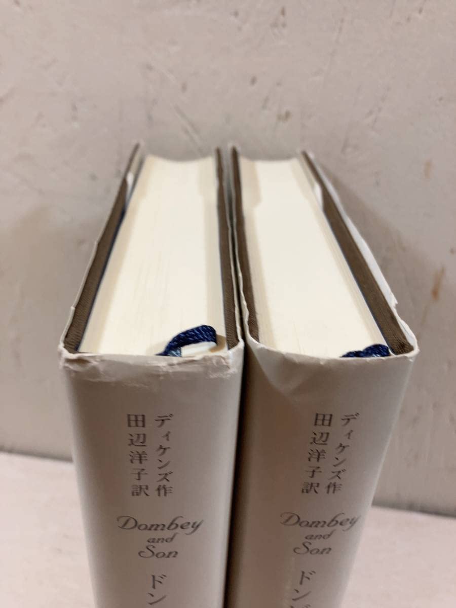 Amazon.co.jp: ドンビー父子 上下巻セット チャールズディケンズ