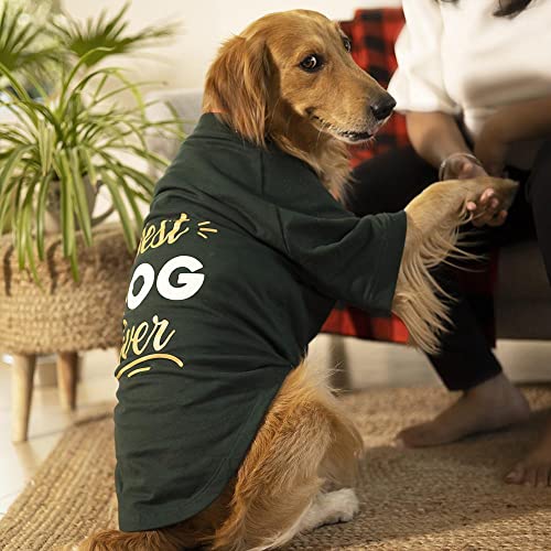 Image of Heads Up For Tails Sweatshirt for Dogs (S, Dark Green)
