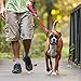 EzyDog Zero Shock Dog Leash - Shock Absorbing Bungee Leash For Dogs That Pull or Excite - Dual Handle and Reflective For Large, Medium, or Small Dogs (48-inch, Black)