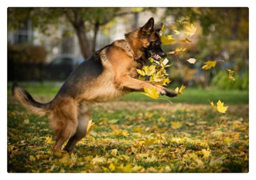Puzzles 1000 Pièces pour Adultes,Puzzle en Bois Classique,Berger Allemand en Automne Puzzle,Jouets de Décoration de Maison Bricolage Cover