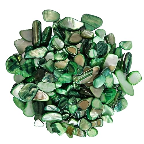 EDSRDUS Natural Crushed Shells Chips Irregular Mother of Pearl Seashell Fragments Sea Shell Pieces for DIY Crafts, Vase Filler, Decorating, Home Décor