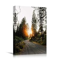 Canvas Wall Art Green Forest Dramatic Forest Landscape Living Room Multicolor Photography Rustic - 12x18 inches