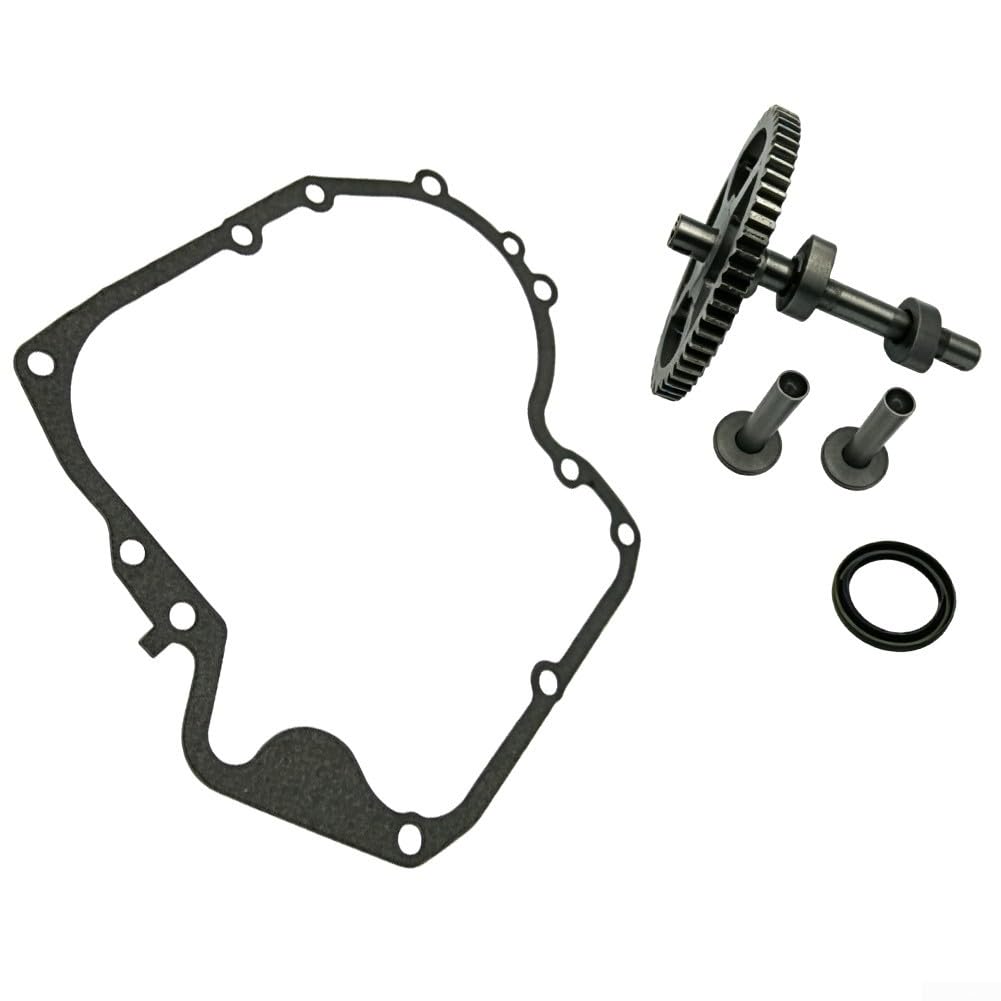 Kit de joints d'arbre à cames pour tondeuse à gazon 793880 793583 Kit de réparation de moteur vertical