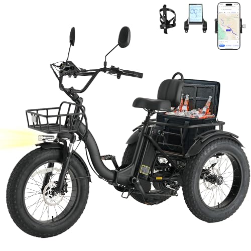 Skeri Electric Tricycle for Adults, 750W(Peak...