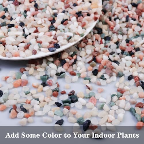 Image of 5lb Pea Silica Gravel Decorative Rocks, Polished Pebbles Ideal for Fish Tank, Vases, Succulents, Home Decor and Garden Landscaping, Countryside