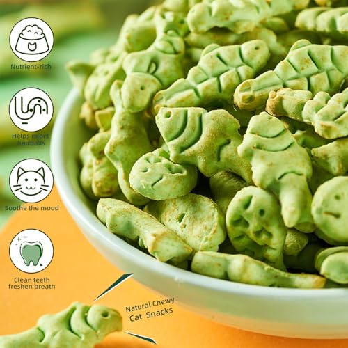 PAWSToyTechy-Cat-Hairball-Treats-450g-Kitty-Teeth-Cleaning-Catnip-for-Indoor-16-Oz-Fish-Shape-Cat-Nip-Dry-Food-Healthy-Chicken-and-Salmon-Flavor-Grass-Biscuits