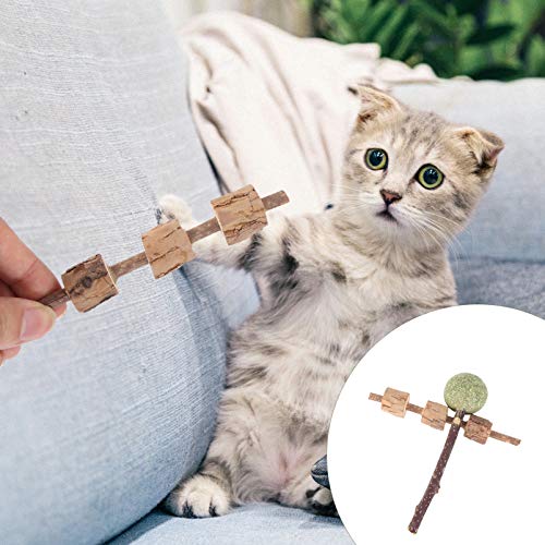 POPETPOP 6PCS Madeira Polygonum Gato Brinquedo Molar Pet Gato Mastigar Brinquedo Ranger Os Dentes (2