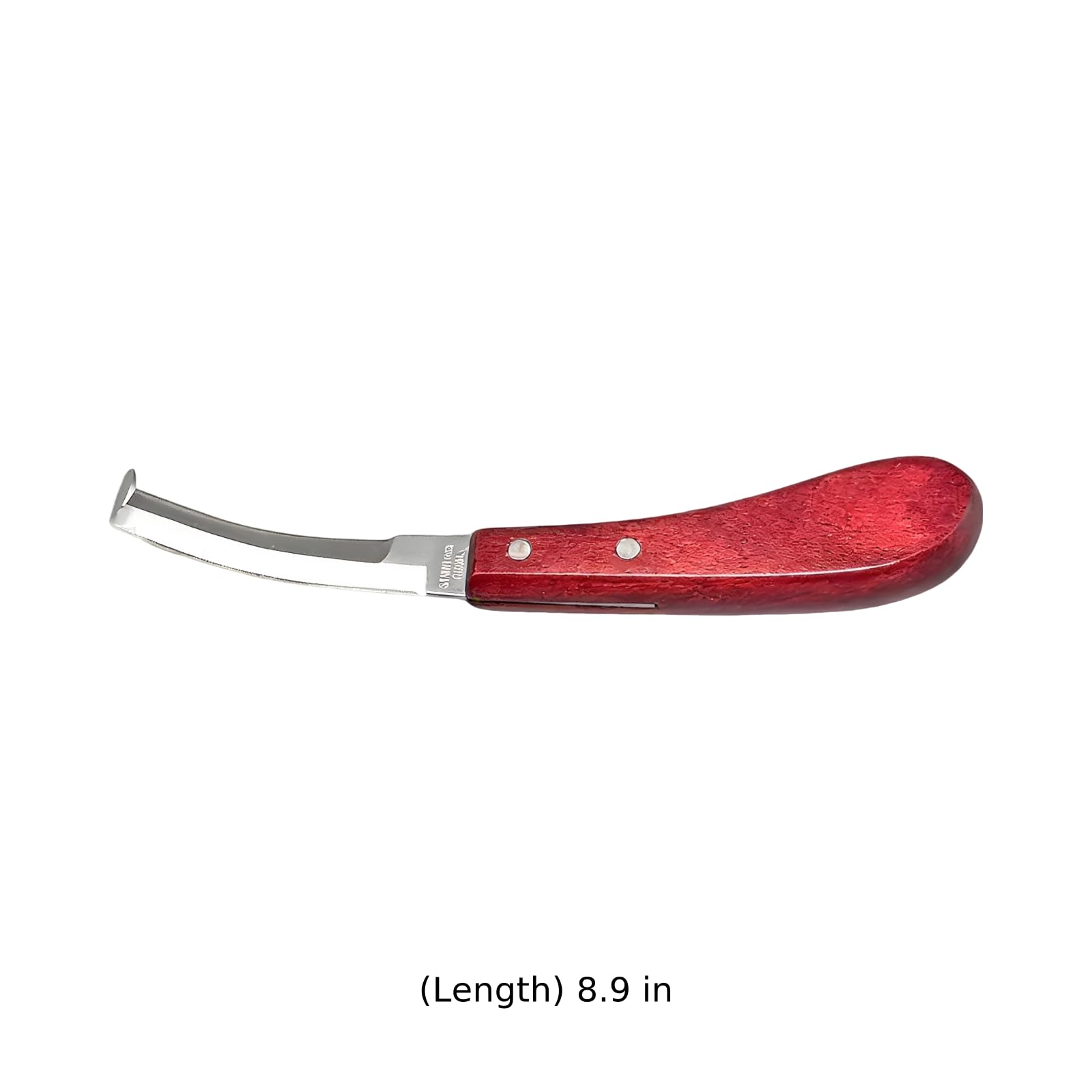 Generisch 2 Stk. Hufmesser für rechte Hand, roter Griff, doppelschneidige gebogene Klinge aus Edelstahl, 22,5 cm, für Pferde, Rinder, Ziegen und Schafe