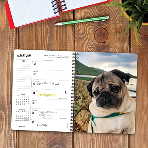 Doug The Pug 2023 Engagement Calendar #TOP2