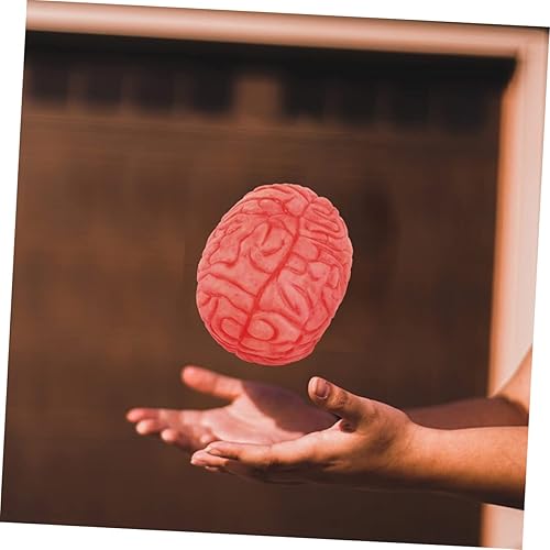 Miniatura 6 de Cerebro Halloween Prop 2 piezas de simulación de órganos humanos Los juguetes de Halloween Trick Juguetes de plástico sangriento Cerebro Broma