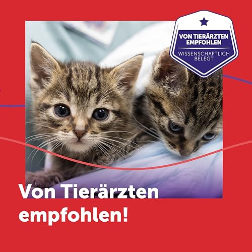 FELIWAY Friends 30 Tage Pheromon Verdampfer Start-Set, 48ml - Hilft Anzeichen von Stress bei Katzen und Kitten zu reduzieren, von Tierärzten empfohlen, klinisch getestet