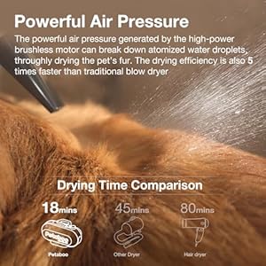   Dog-Dryer-Super-Quiet-40db-Dog-Blow-Dryer-PetGrooming-High-Velocity-Force-Blower-with-3-Nozzles-Adjustable-Speed-and-Temperature-Dog-Hair-Dryers-for-Grooming